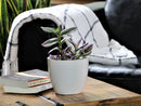 Peace Lily Cache Pot By Plantatorem