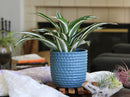Honeycomb Planter By Plantatorem