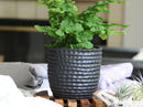 Honeycomb Planter By Plantatorem