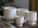 Monstera Cache Pot By Plantatorem