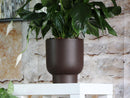 Monstera Cache Pot By Plantatorem
