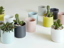 Cylinder Cache Pot 4.0" x 3.5" By Plantatorem