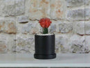 Cylinder Pot with Detached Saucers (LARGE) By Plantatorem