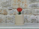 Cylinder Pot with Detached Saucers (LARGE) By Plantatorem