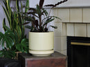 Melrose Modern Planter- 10.0" x 10.5" By Plantatorem
