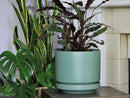 Melrose Modern Planter- 10.0" x 10.5" By Plantatorem