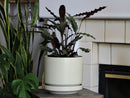 Melrose Modern Planter (LARGE) By Plantatorem