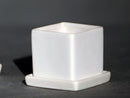 Cube Pot with Detached Saucers By Plantatorem
