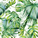 Monstera Leaves Wallpaper