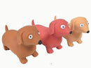Dachshund Squeeze Balls - Random Color
