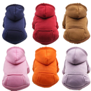 Basic Hoodie
