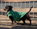 Green Basic Fleece Pullover