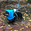 Aqua Blue Pup Topper