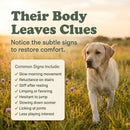 Hip & Joint Support Soft Chews for Dogs | Pack of 3 | 60 Chews - 6.35 oz | LivHerbals, Inc.