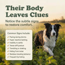 Calm Support Soft Chews for Dogs | Pack of 3 | 60 Chews - 6.35 oz | LivHerbals, Inc.
