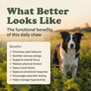 Calm Support Soft Chews for Dogs | Pack of 2 | 60 Chews - 6.35 oz | LivHerbals, Inc.
