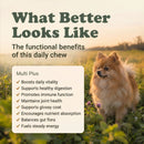 Multivitamin Support Soft Chews for Dogs | 60 Chews - 6.35 oz | LivHerbals, Inc.