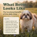 Skin & Coat Support Soft Chews for Dogs | 60 Chews - 6.35 oz | LivHerbals, Inc.