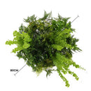 Imitation Gold Artificial Hanging Green Wall Disc Draping Plant Arrangement 32in – Limited Edition – UV Resistant