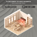 [Discontinued] In Flames INF60W-3D WiFi Smart Wall Mounted Electric Fireplace - Tempered Glass