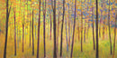 In the Colorful Forest - Limited Edition Canvas Print