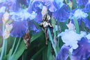 Iris Lapel Pin