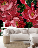 Red Peonies Wallpaper