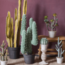 Artificial Cactus in Pot Various Styles