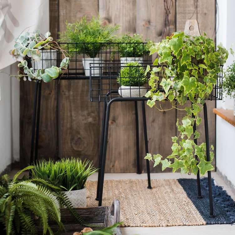 modern plant rack Black Metal Plant Stand Modern Plant Stand