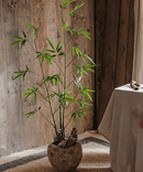 Artificial Bamboo Stem Faux Screen Plant Set of 10