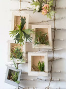 Rustic Botanical Wall Frame