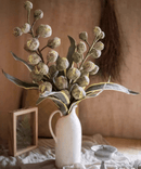 Designer Fruit Bouquet
