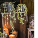 Hanging Faux Ceropegia Vine in Pot