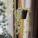 Hanging Faux Ceropegia Vine in Pot