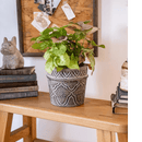 Classic Element Art Planter Clay Flowerpot