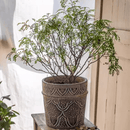 Classic Element Art Planter Clay Flowerpot