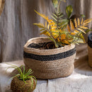 Cotton Blend Woven Storage Basket