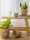 Daisy Garden Cement Planter