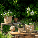Daisy Garden Cement Planter