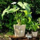 Daisy Garden Cement Planter