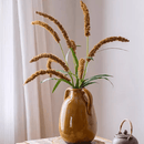 Three-Headed Dogtail Grass Stem 39" Tall