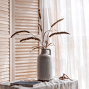 Three-Headed Dogtail Grass Stem 39" Tall