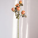 Faux Artificial Flower Dry Rose Stem Champagne or Orange 23" Tall