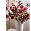 Dry Flower Dry Rose Stem 23" Tall