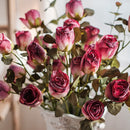 Dry Flower Dry Rose Stem 23" Tall