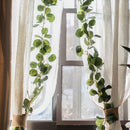 Artificial Green Eucalyptus Vine 70" Long