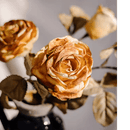 French Dried Look Faux Rose Stem 26" Tall