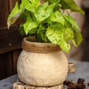 Faux Bamboo Woven Cement Planter