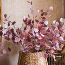 Golden Haze Eucalyptus Stem 37.7" Tall