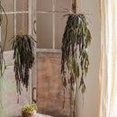 Artificial Faux Hanging Aloe Vera Plant in Pot